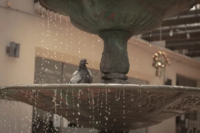 Bird Water Fountain Outdoor: Elevating Your Garden with Nature’s Charm