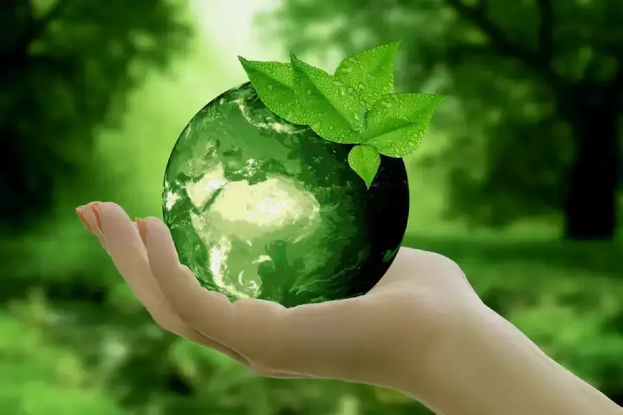 Why Sustainable Living Isn’t Just Trendy But Meaningful