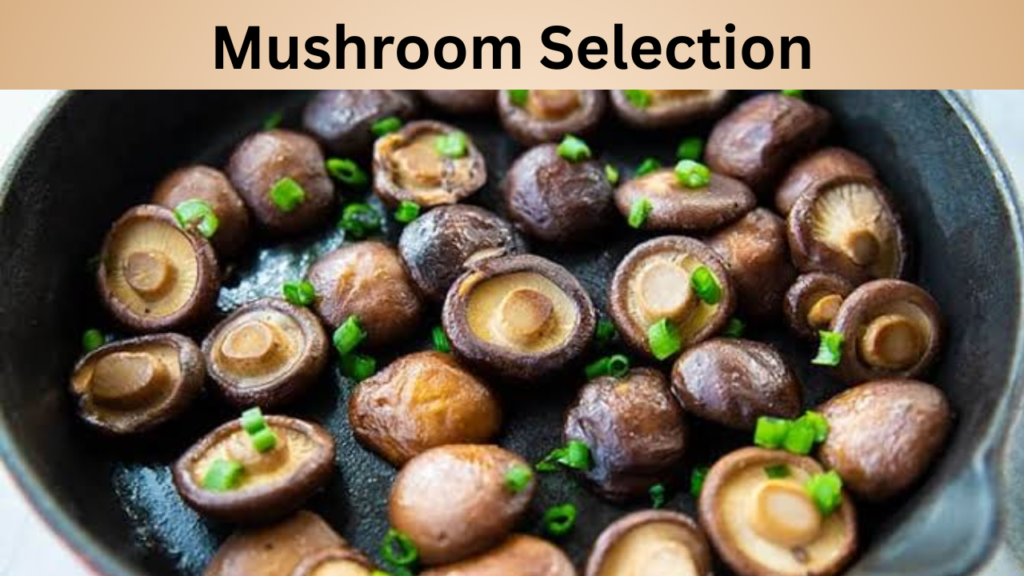Mushroom Selection